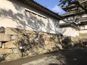November 29, 2018 - (2) Tamamo Park IMG_0617