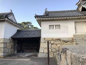 November 29, 2018 - (2) Tamamo Park IMG_0623