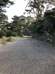 November 29, 2018 - (2) Tamamo Park IMG_0625