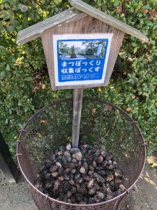 November 29, 2018 - (2) Tamamo Park IMG_0626