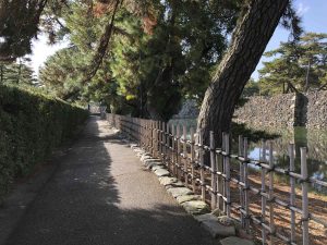 November 29, 2018 - (2) Tamamo Park IMG_0627