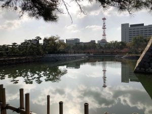 November 29, 2018 - (2) Tamamo Park IMG_0628