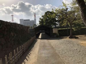 November 29, 2018 - (2) Tamamo Park IMG_0629