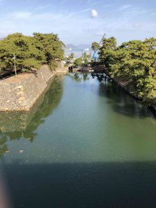November 29, 2018 - (2) Tamamo Park IMG_0631