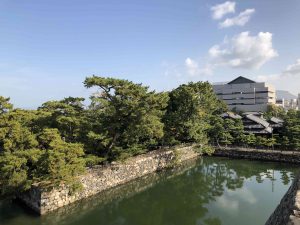 November 29, 2018 - (2) Tamamo Park IMG_0632