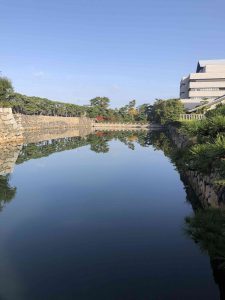 November 29, 2018 - (2) Tamamo Park IMG_8340