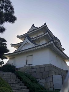 November 29, 2018 - (2) Tamamo Park IMG_8344