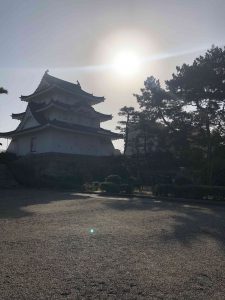 November 29, 2018 - (2) Tamamo Park IMG_8346