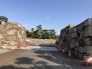 November 29, 2018 - (2) Tamamo Park IMG_8347