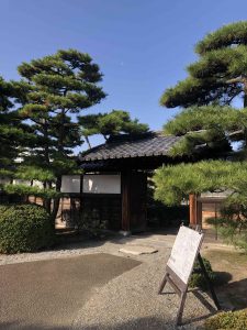 November 29, 2018 - (2) Tamamo Park IMG_8357