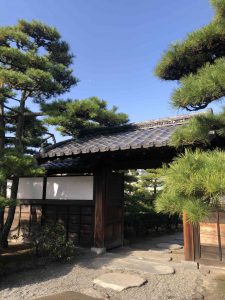 November 29, 2018 - (2) Tamamo Park IMG_8358