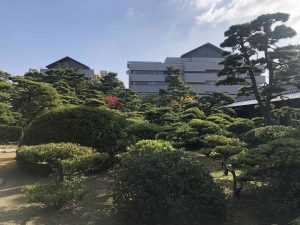 November 29, 2018 - (2) Tamamo Park IMG_8376