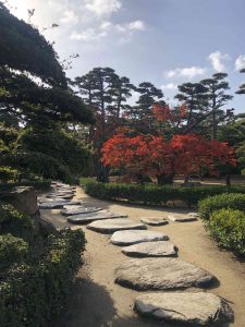November 29, 2018 - (2) Tamamo Park IMG_8384