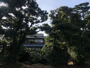 November 29, 2018 - (2) Tamamo Park IMG_8390