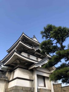 November 29, 2018 - (2) Tamamo Park IMG_8396