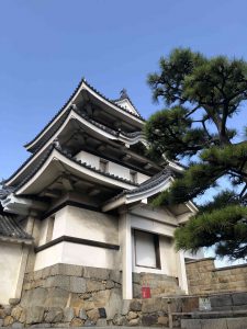 November 29, 2018 - (2) Tamamo Park IMG_8397