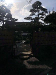 November 29, 2018 - (2) Tamamo Park IMG_8398