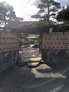 November 29, 2018 - (2) Tamamo Park IMG_8399