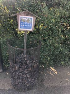 November 29, 2018 - (2) Tamamo Park IMG_8402