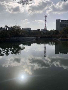 November 29, 2018 - (2) Tamamo Park IMG_8403