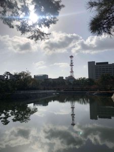 November 29, 2018 - (2) Tamamo Park IMG_8404