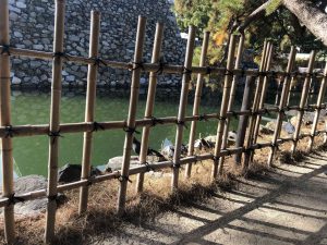 November 29, 2018 - (2) Tamamo Park IMG_8406