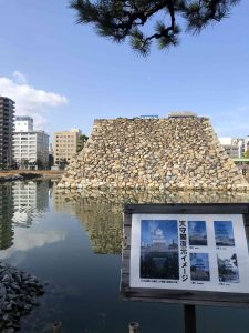 November 29, 2018 - (2) Tamamo Park IMG_8418