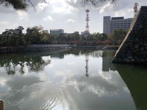 November 29, 2018 - (2) Tamamo Park IMG_8419