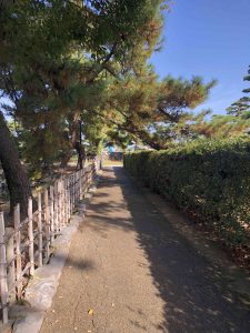 November 29, 2018 - (2) Tamamo Park IMG_8422
