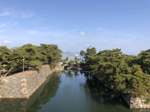 November 29, 2018 - (2) Tamamo Park IMG_8423