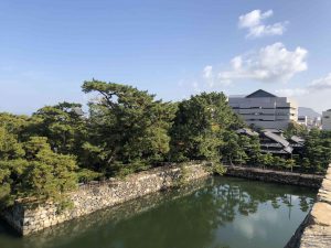 November 29, 2018 - (2) Tamamo Park IMG_8425