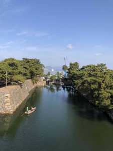 November 29, 2018 - (2) Tamamo Park IMG_8426