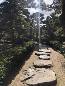 November 29, 2018 - (2) Tamamo Park IMG_8430