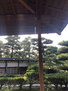 November 29, 2018 - (2) Tamamo Park IMG_8436
