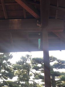 November 29, 2018 - (2) Tamamo Park IMG_8437