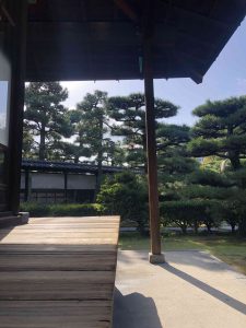 November 29, 2018 - (2) Tamamo Park IMG_8438