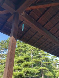 November 29, 2018 - (2) Tamamo Park IMG_8441