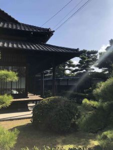 November 29, 2018 - (2) Tamamo Park IMG_8444