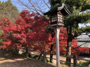 November 30, 2018 - (3) Kotohiragu Shrine IMG_0800