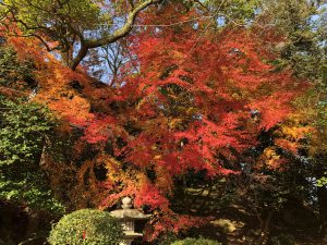 November 30, 2018 - (3) Kotohiragu Shrine IMG_0803