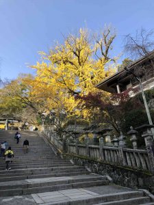 November 30, 2018 - (3) Kotohiragu Shrine IMG_0814