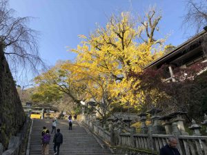 November 30, 2018 - (3) Kotohiragu Shrine IMG_0815