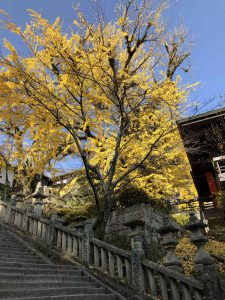 November 30, 2018 - (3) Kotohiragu Shrine IMG_0816
