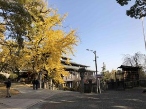 November 30, 2018 - (3) Kotohiragu Shrine IMG_0817