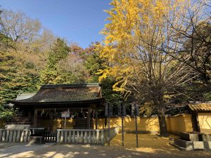 November 30, 2018 - (3) Kotohiragu Shrine IMG_0821