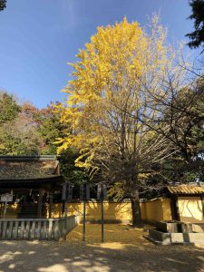 November 30, 2018 - (3) Kotohiragu Shrine IMG_0822