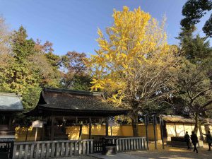 November 30, 2018 - (3) Kotohiragu Shrine IMG_0825