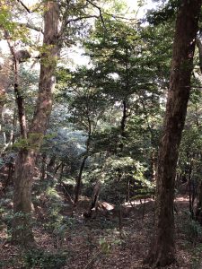 November 30, 2018 - (3) Kotohiragu Shrine IMG_0848