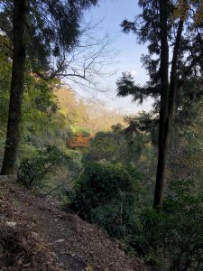 November 30, 2018 - (3) Kotohiragu Shrine IMG_0877