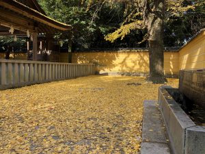 November 30, 2018 - (3) Kotohiragu Shrine IMG_0884